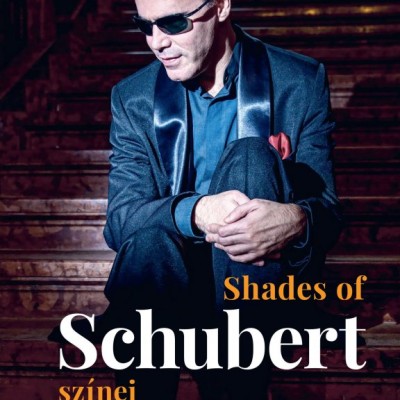 SHADES OF SCHUBERT - SCHUBERT SZÍNEI DVD / ÉRDI TAMÁS PIANO - ZONGORA / FOUR IMPROMPTUS, D.899, THREE PIANO PIECES D. 946 