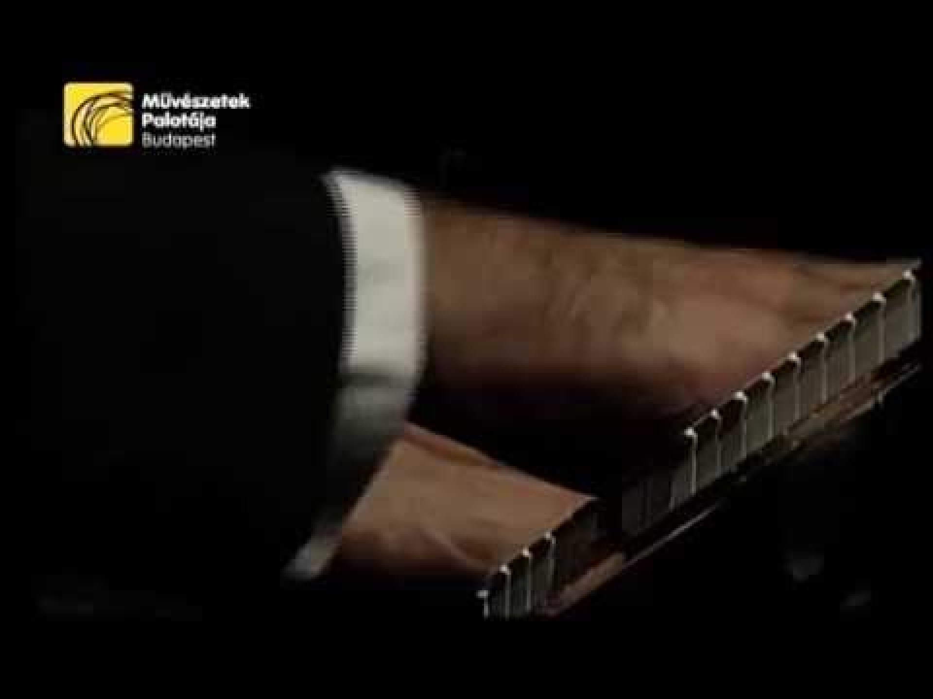 Tamás Érdi plays Debussy: Clair de Lune